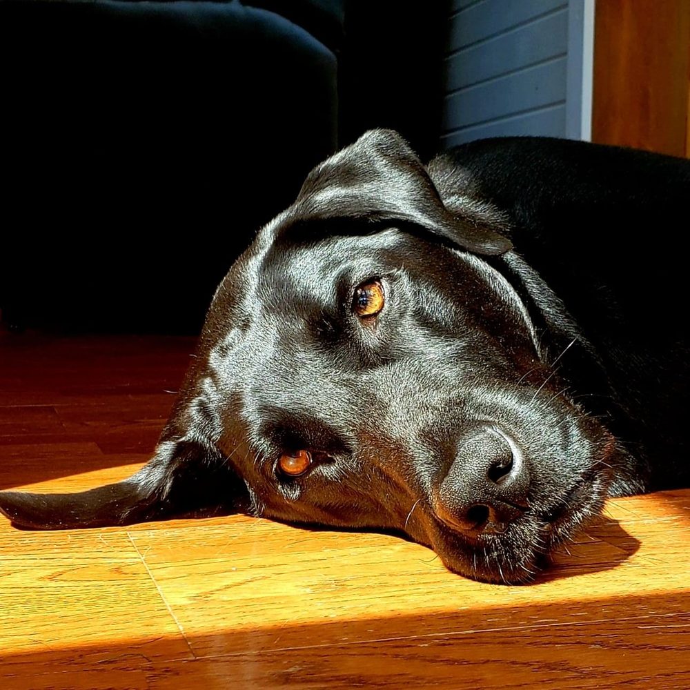 Meet your Posher, Kris